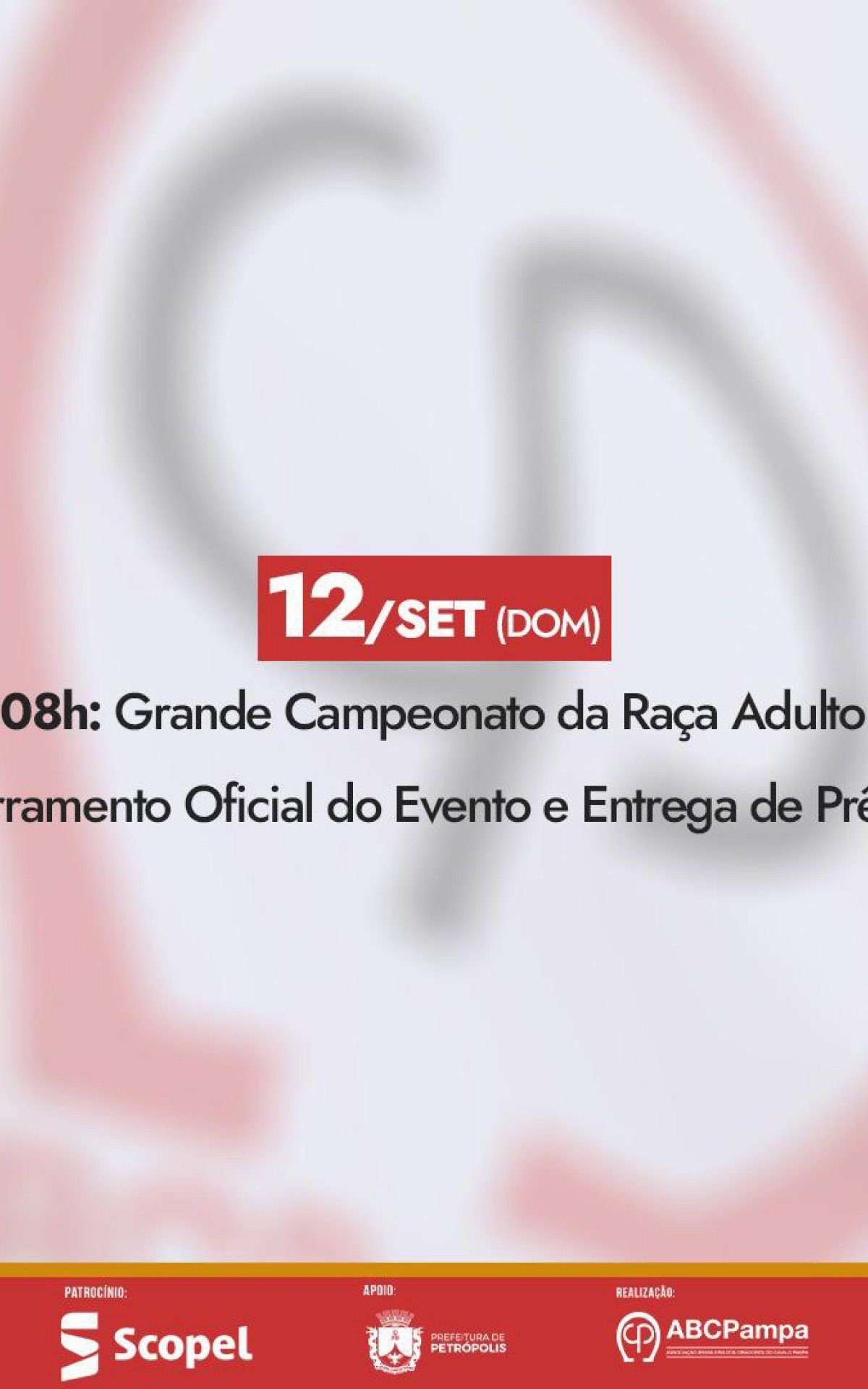 Programa&ccedil;&atilde;o deste domingo da 28&ordf; Enapampa