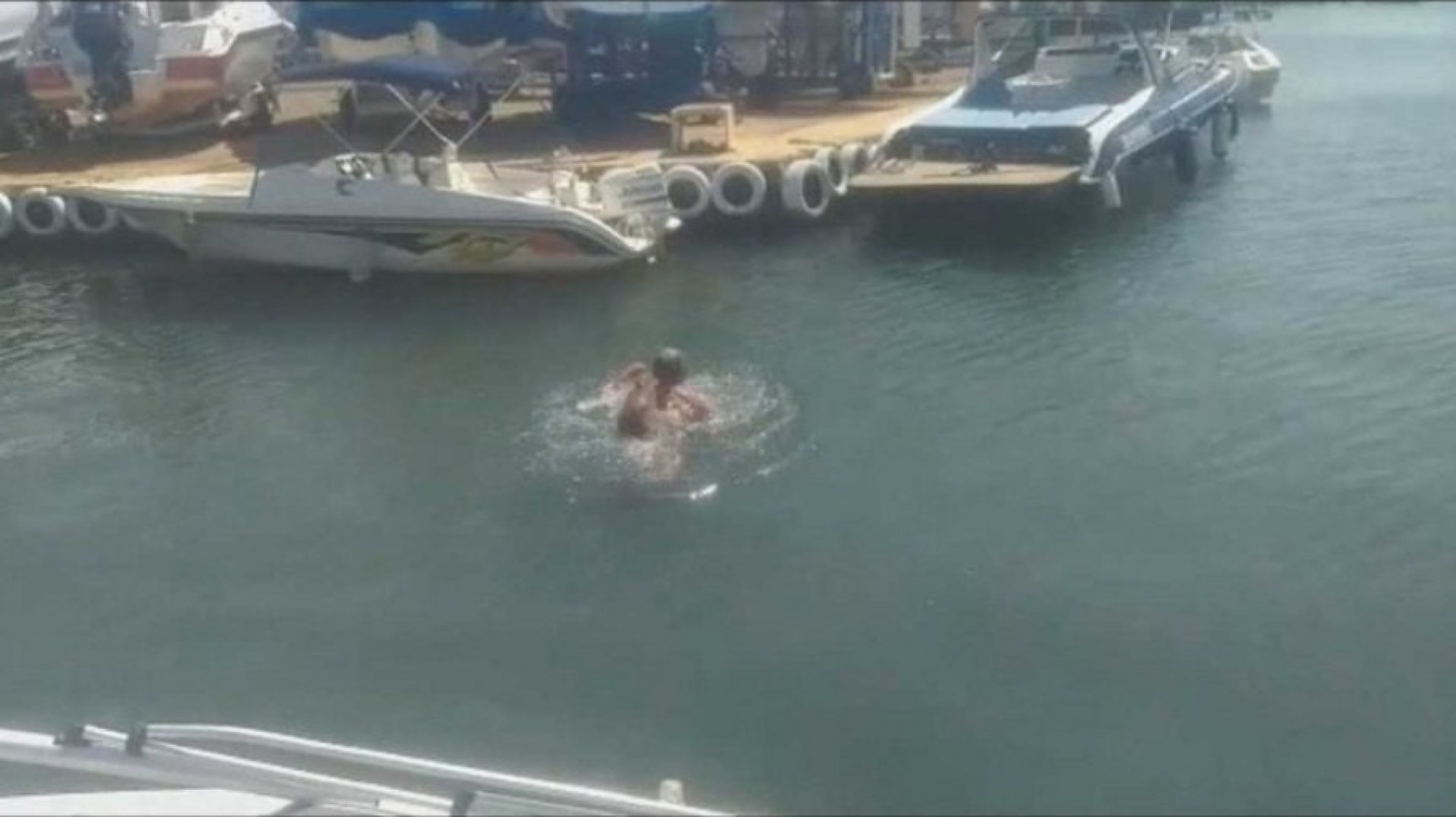 Marinheiro é mordido por capivara enquanto nadava em lago; Vídeo