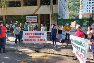 Empreiteira desobedece inquérito do MPRJ e corta árvores em área de proteção ambiental na Tijuca