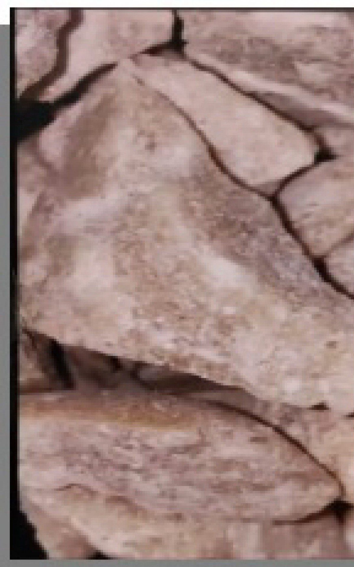 Droga era apresentada por foto