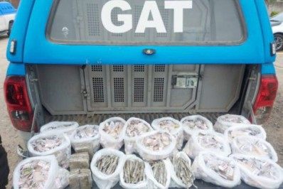 Polícia apreende 1.266 pinos de cocaína e buchas de maconha em mata de São Pedro da Aldeia