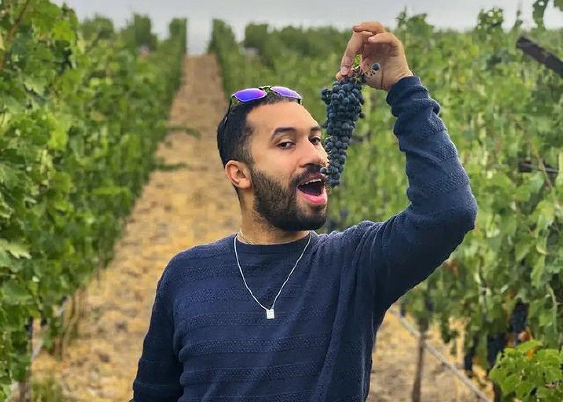 Gil do Vigor posa em vinícola nos EUA - Reprodução/Instagram