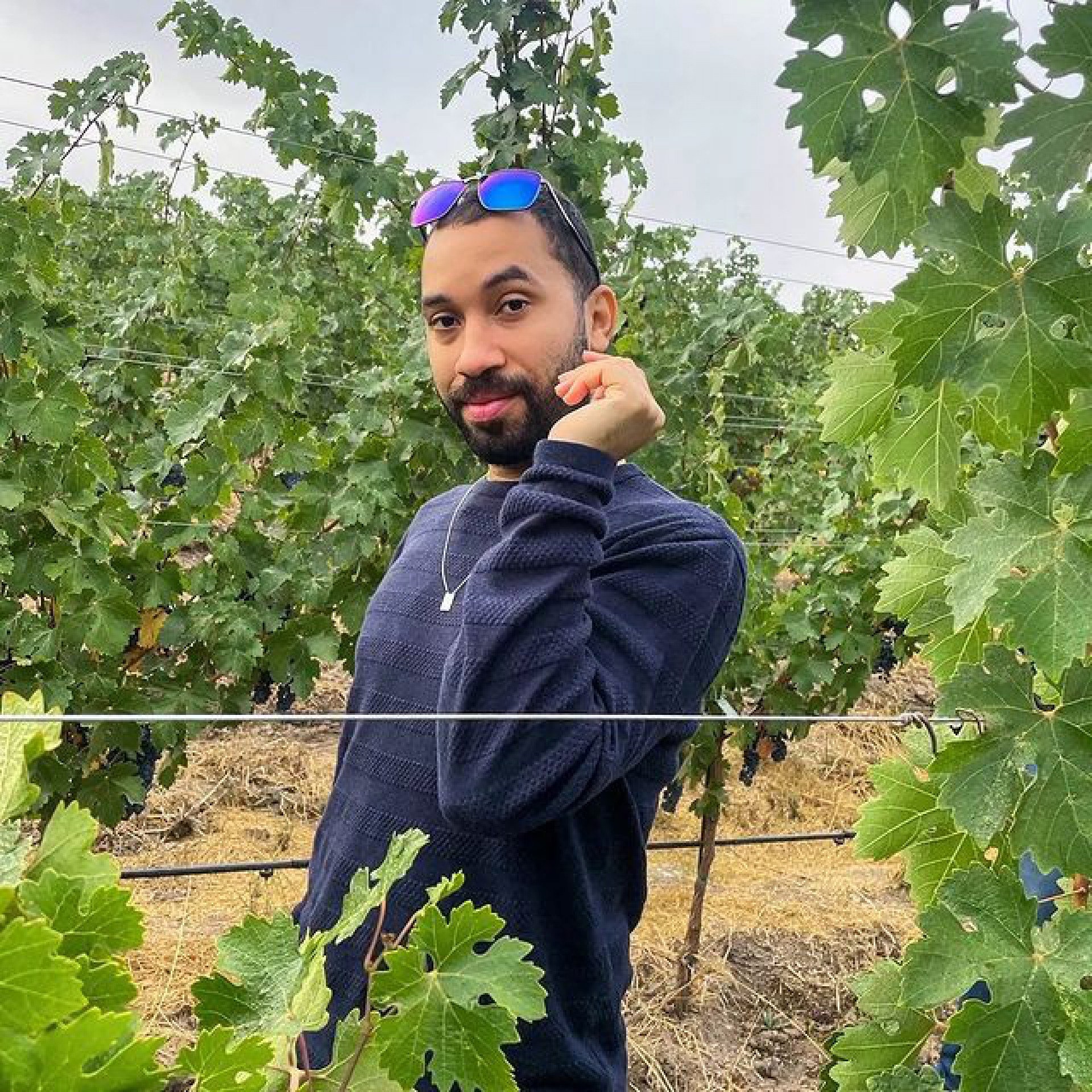Gil do Vigor posa em vinícola nos EUA - Reprodução/Instagram