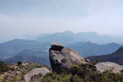 Felino raro é flagrado em parque na Região Serrana
