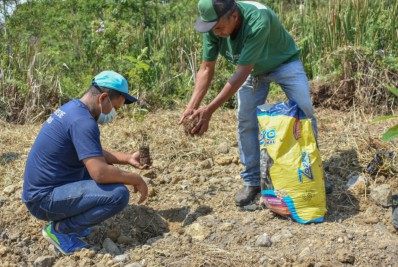Dia da árvore é celebrado com plantio em Porto Real