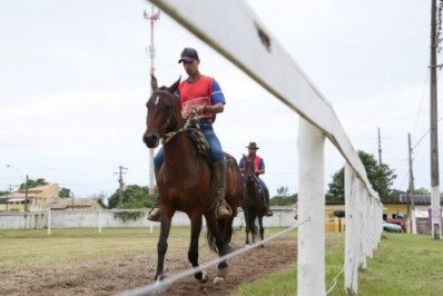 Exposição do Cavalo Mangalarga Marchador começa nesta quarta (22) em Araruama