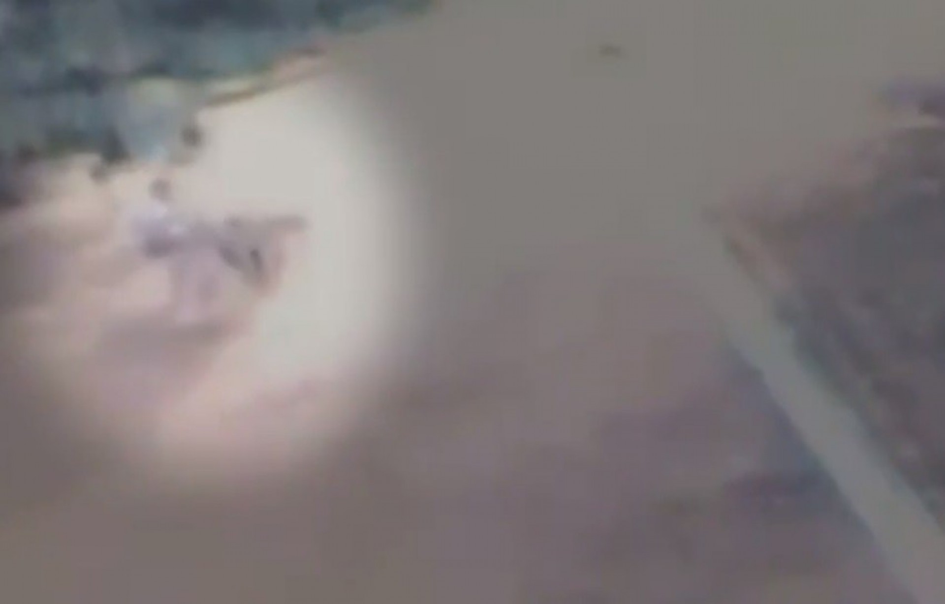 Vídeo obtido pela polícia mostra últimos momentos de grávida morta na linha do trem