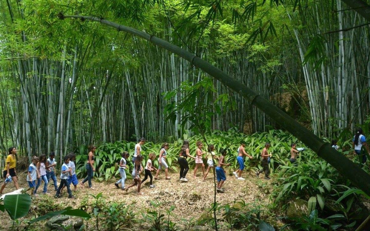 Sinal do Vale celebra uma década com restauração de 30 hectares  - Divulgação