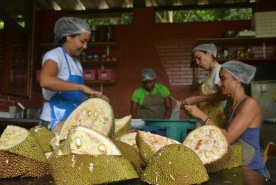 Sinal do Vale celebra uma década com restauração de 30 hectares 