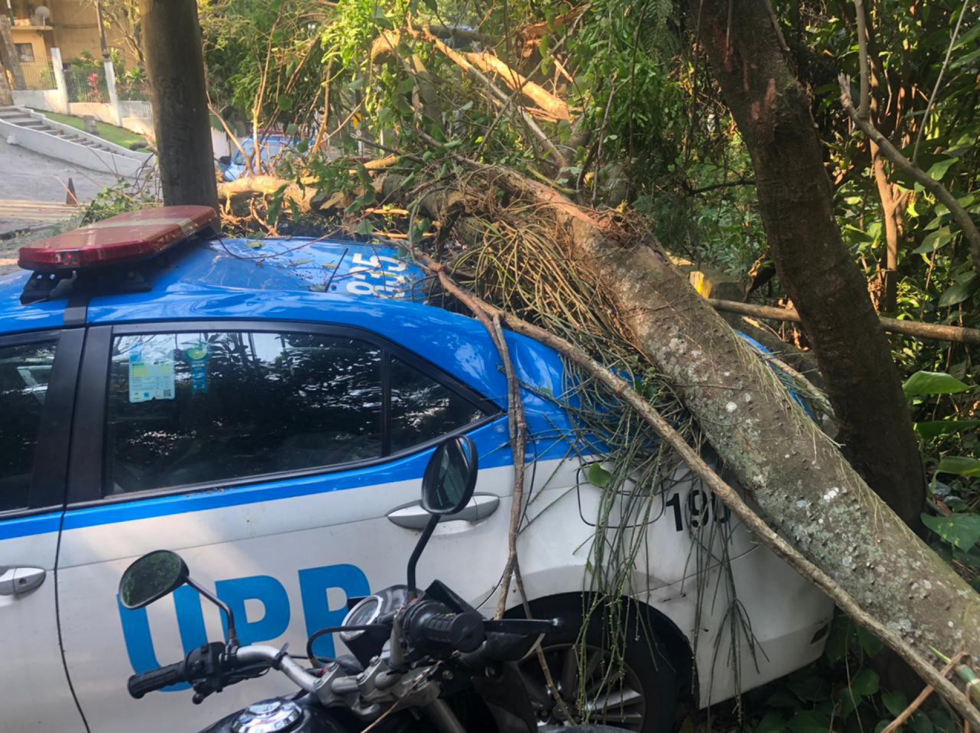 Viatura foi atingida por árvore no Rio Comprido - REPRODUÇÃO/PMERJ