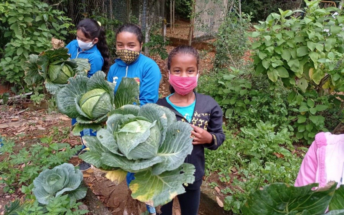 Escola Rural de Caxias utiliza horta como ferramenta pedagógica