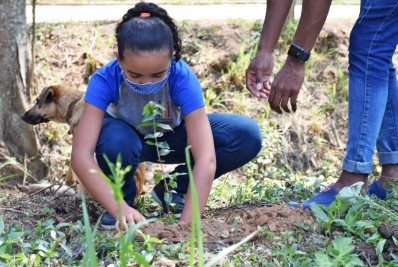 Prefeitura de Paty lança projeto Caminho das Águas plantando mudas em Palmares