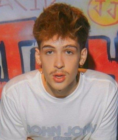 Suposto envolvimento entre Duda Reis e João Guilherme fez Thomaz Costa se pronunciar na web - Reprodução 