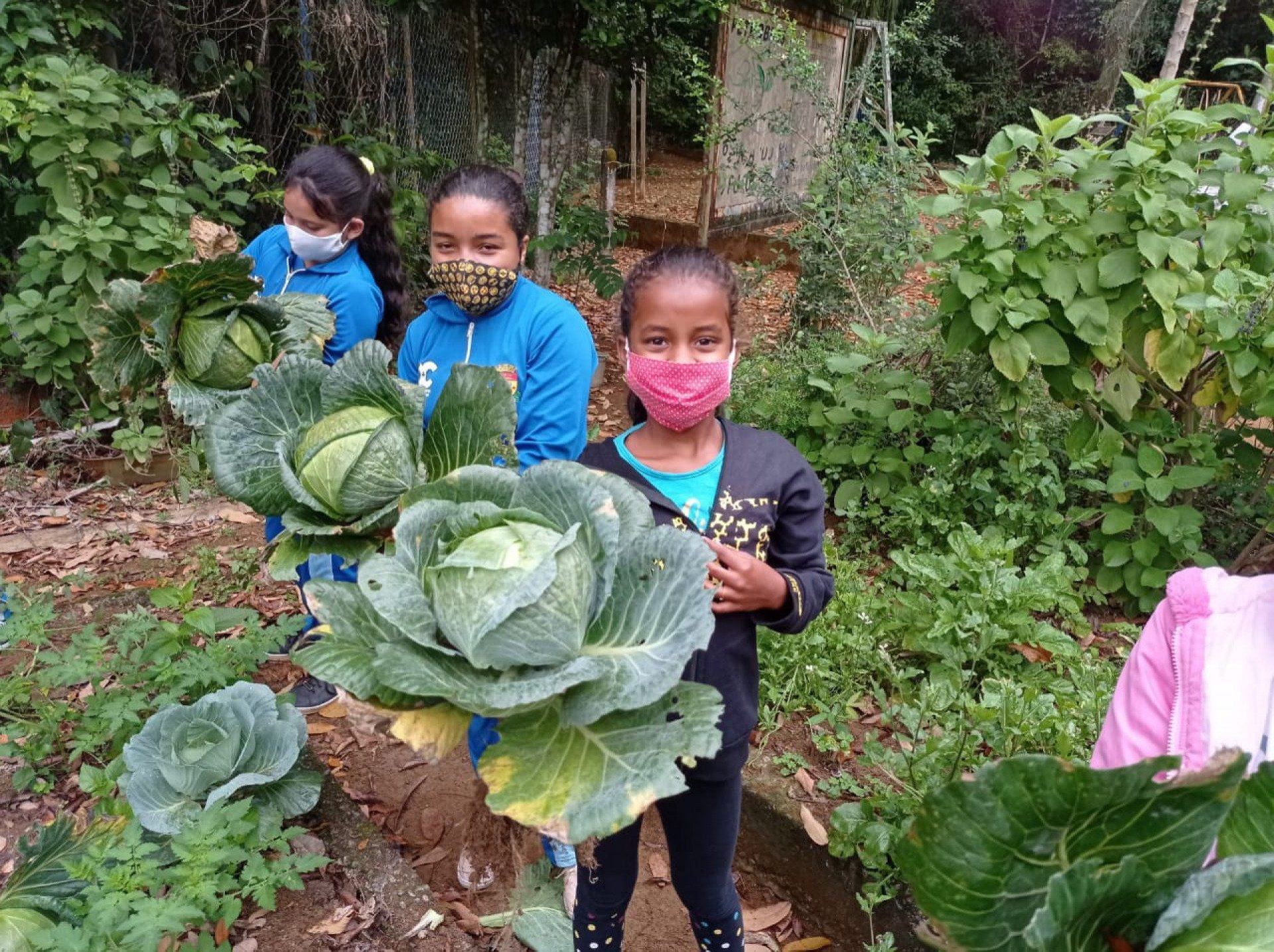 Escola Rural de Caxias utiliza horta como ferramenta pedagógica - Divulgação