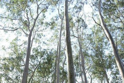 Parque da Cidade cada vez mais bem cuidado pela Prefeitura