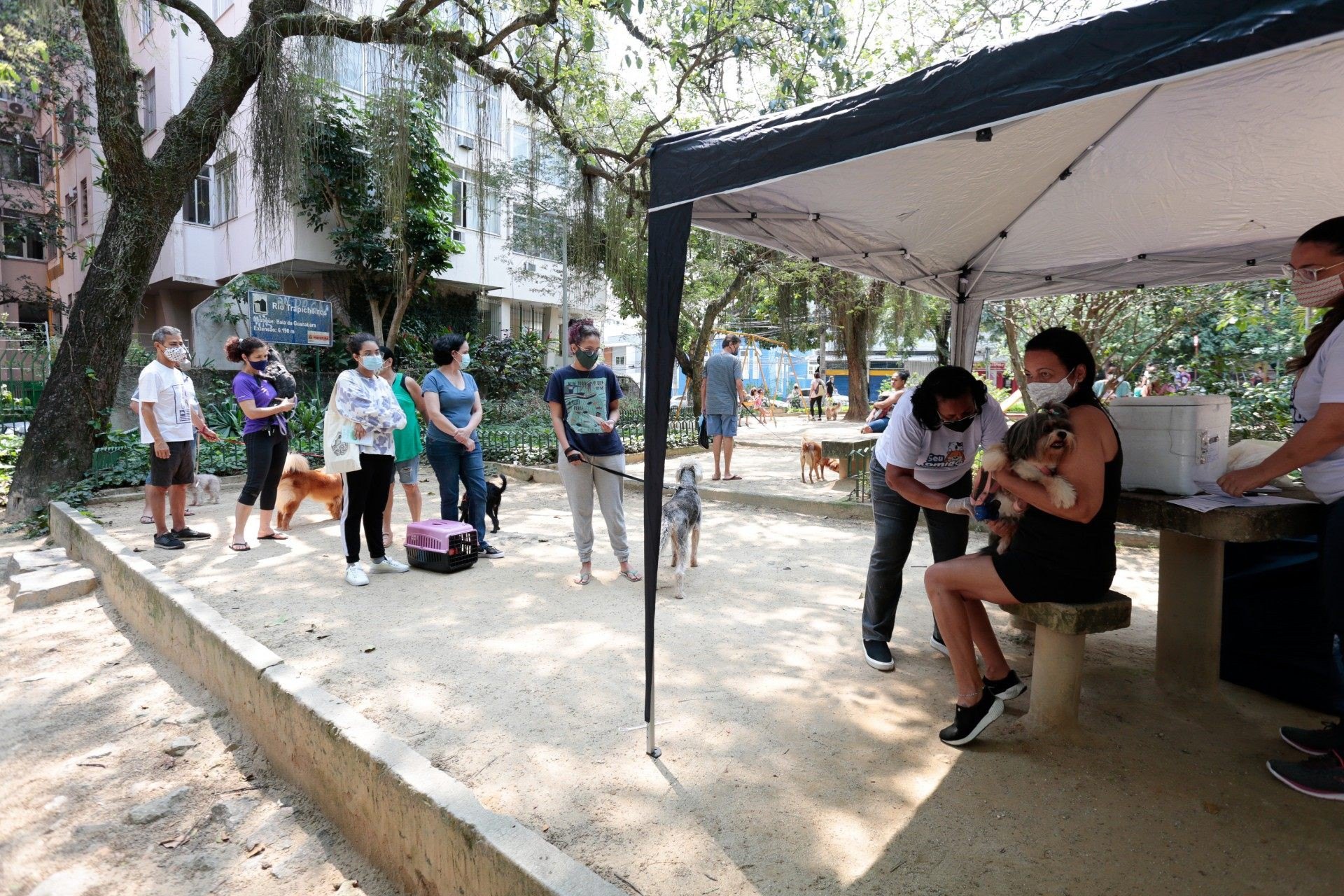 Cidade do Rio iniciou neste sábado a campanha de vacinação antirrábica para cães e gatos - Divulgação/Prefeitura do Rio
