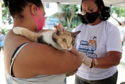 Vacinação antirrábica chega a bairros das zonas Norte e Oeste no sábado