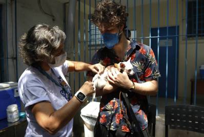 Zona Oeste recebe repescagem de vacinação antirrábica neste sábado