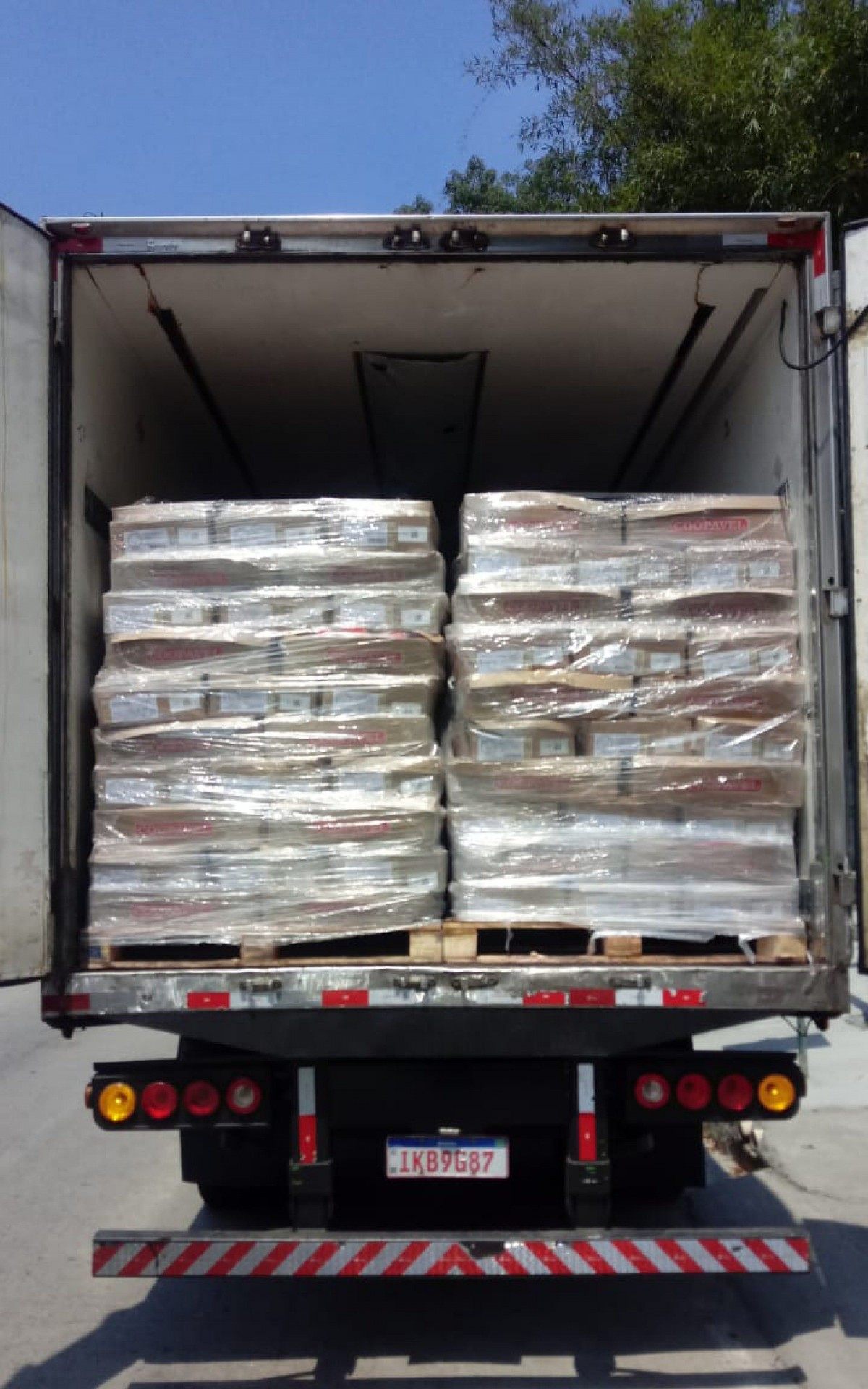 Material estava no fundo falso de caminhão que transportava cerca de 20 toneladas de frango - Divulgação