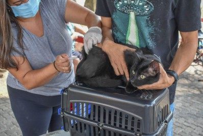 Vacinação antirrábica chega em mais bairros de Caxias; Veja os locais