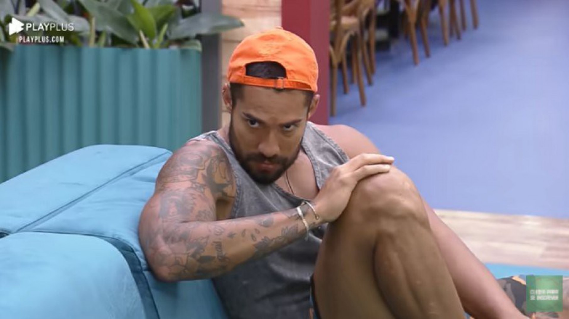 Arcrebiano - Reprodu&ccedil;&atilde;o/Playplus