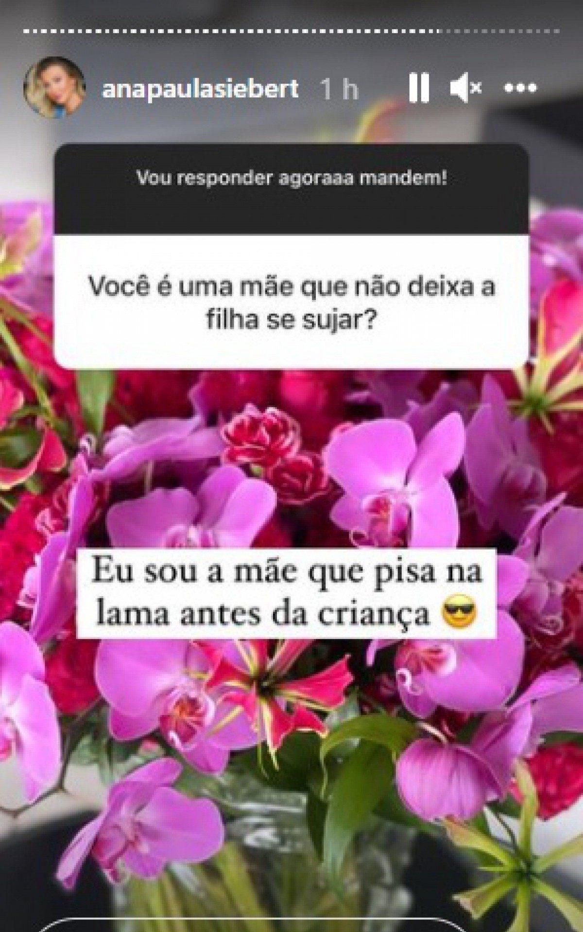 Post de Ana Paula Siebert