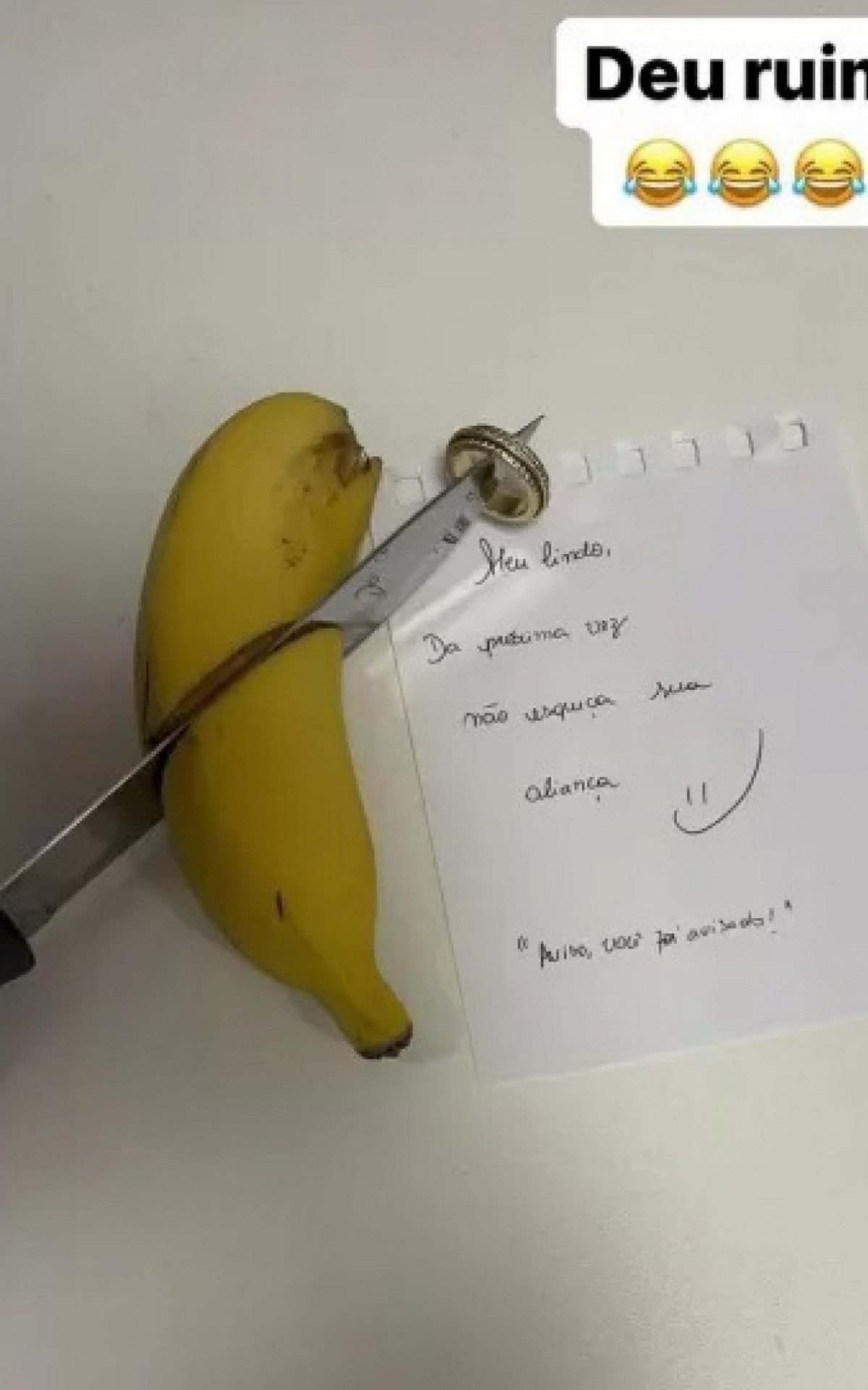 Foto que Vina divulgou nas redes