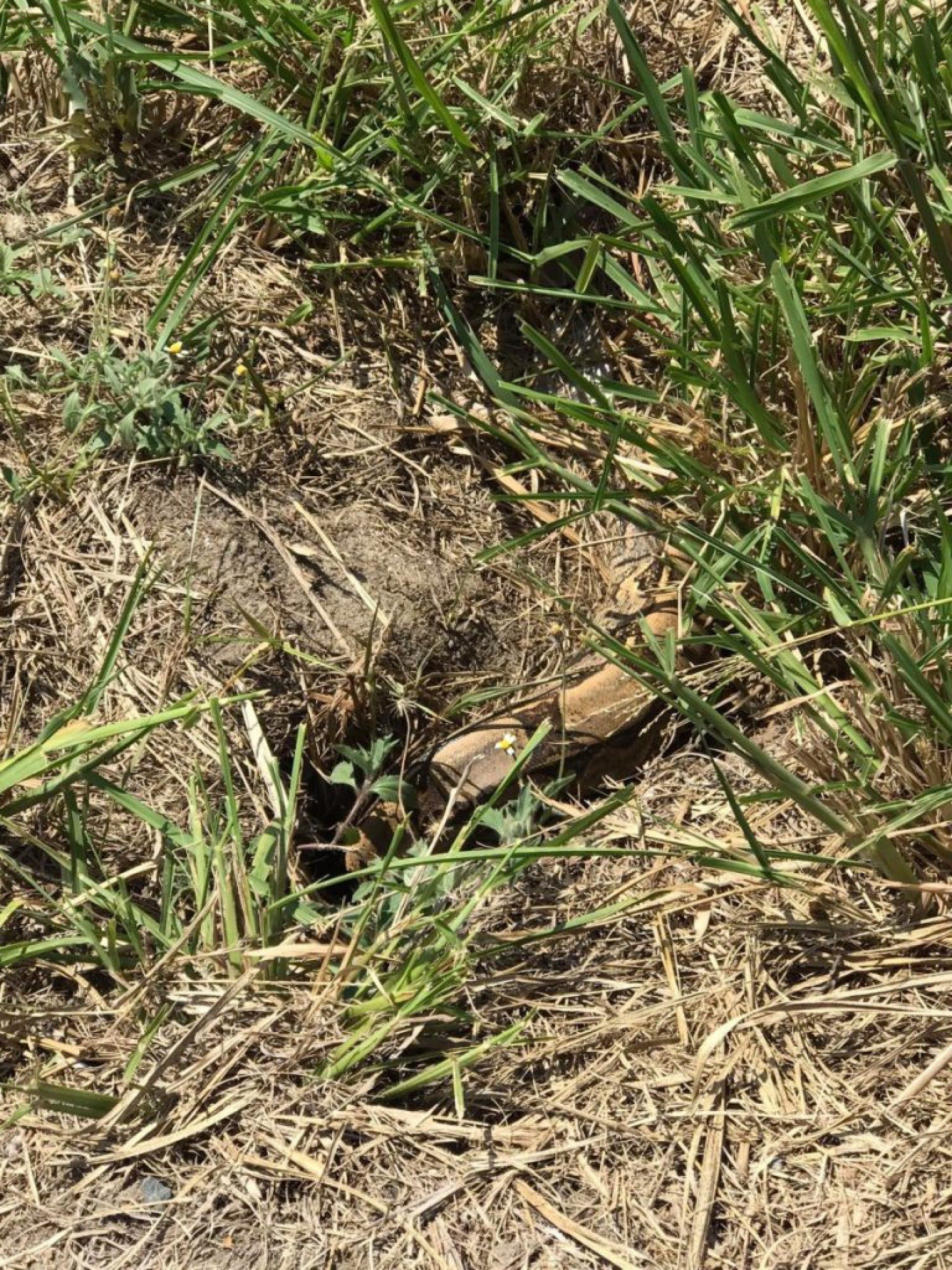 Para denunciar queimadas e solicitar o da Defesa Civil, os cidadãos podem ligar para o número 153. - Divulgação