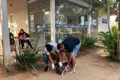 Campanha de Vacinação Antirrábica realizada em Búzios tem adesão em massa