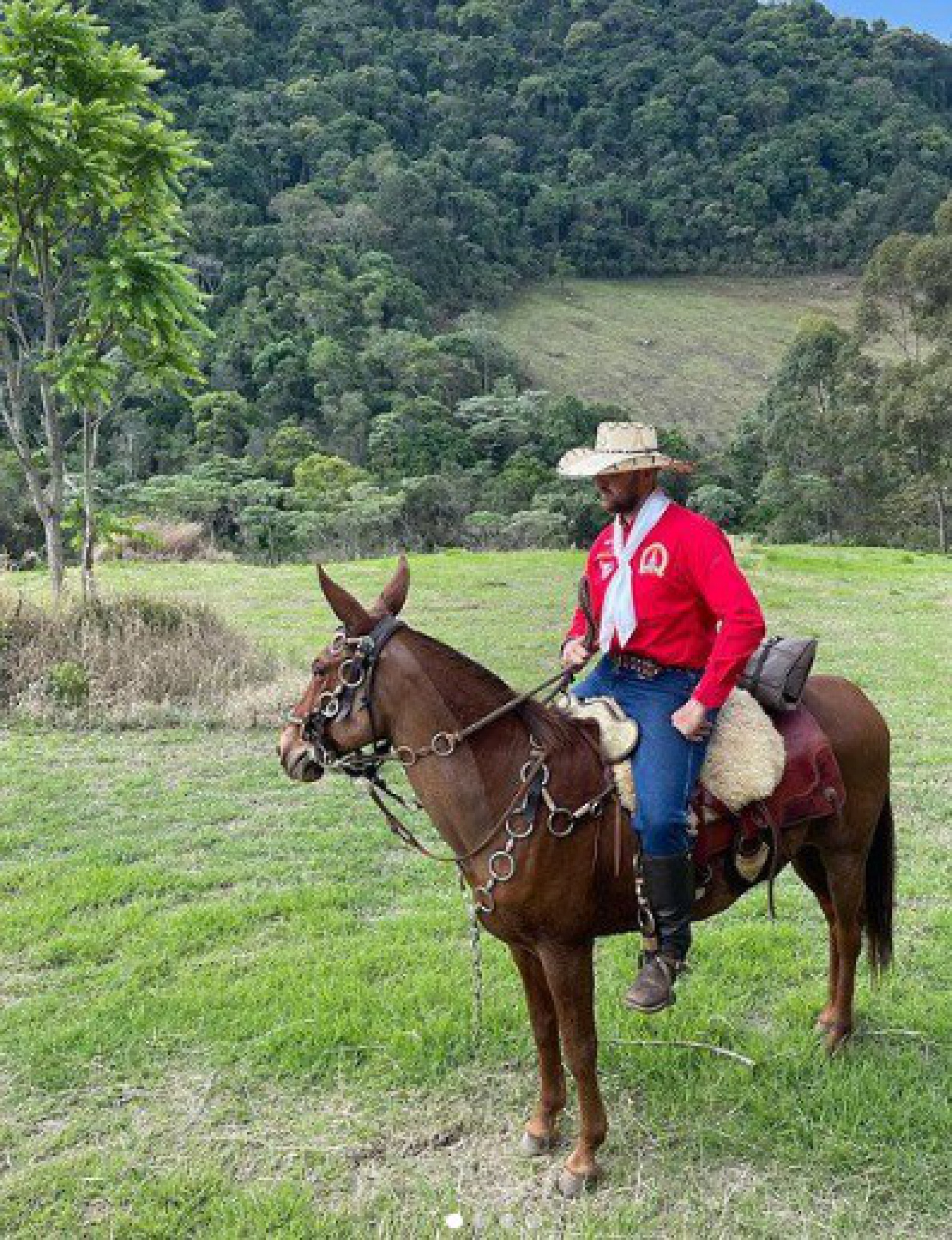Zé Neto  - reprodução do instagram