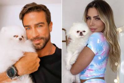 Erika Schneider foi quem não quis assumir Erasmo Viana