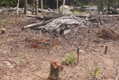 Polícia Ambiental encontra área degrada em Angra