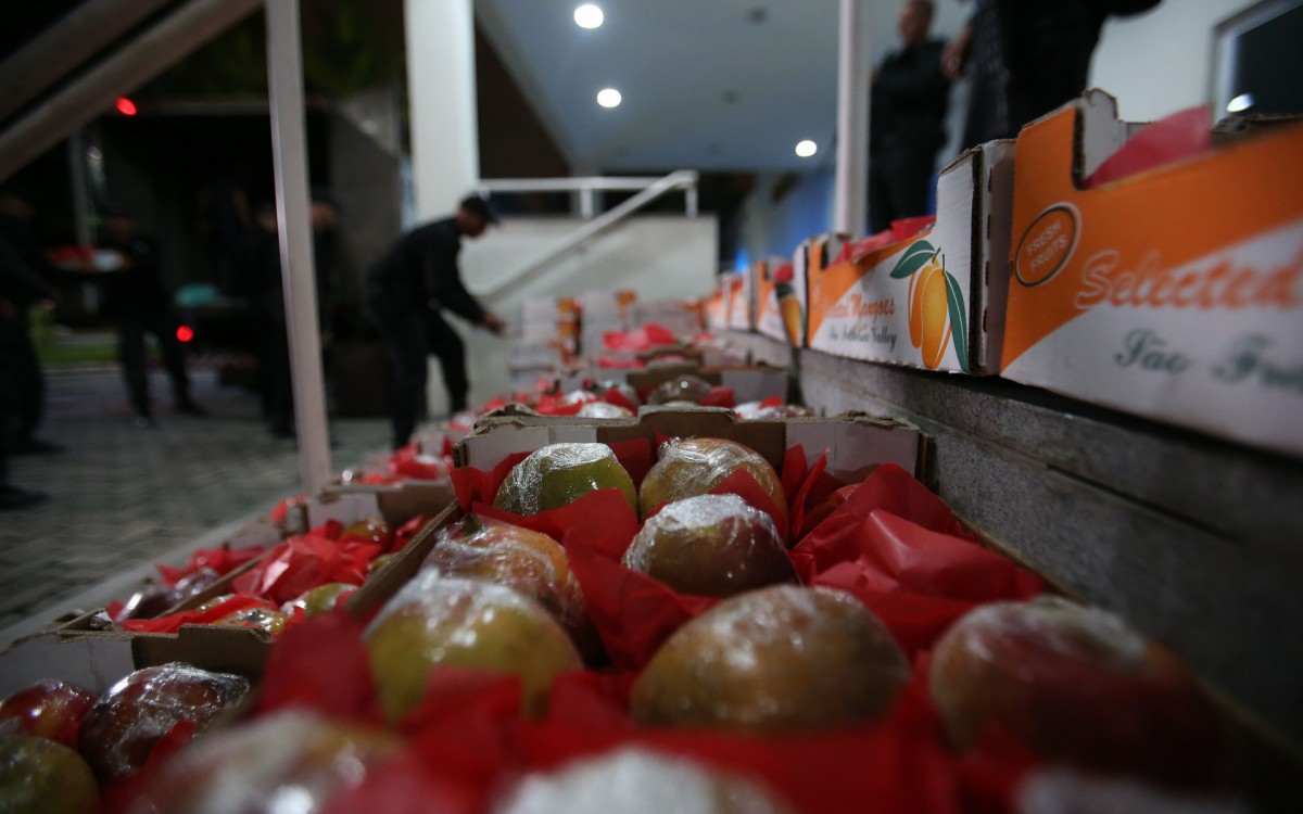 Criminosos escondiam coca&iacute;na dentro de mangas para enviar &agrave; Europa