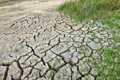 Aquecimento global pode expor 12 milhões de brasileiros a nível intolerável de calor