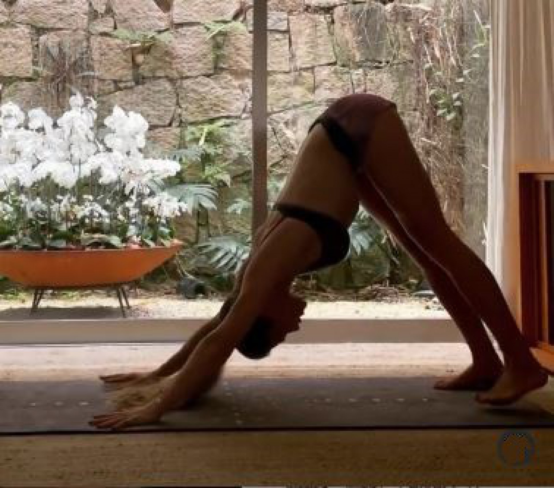 Grazi Massafera - Reprodução