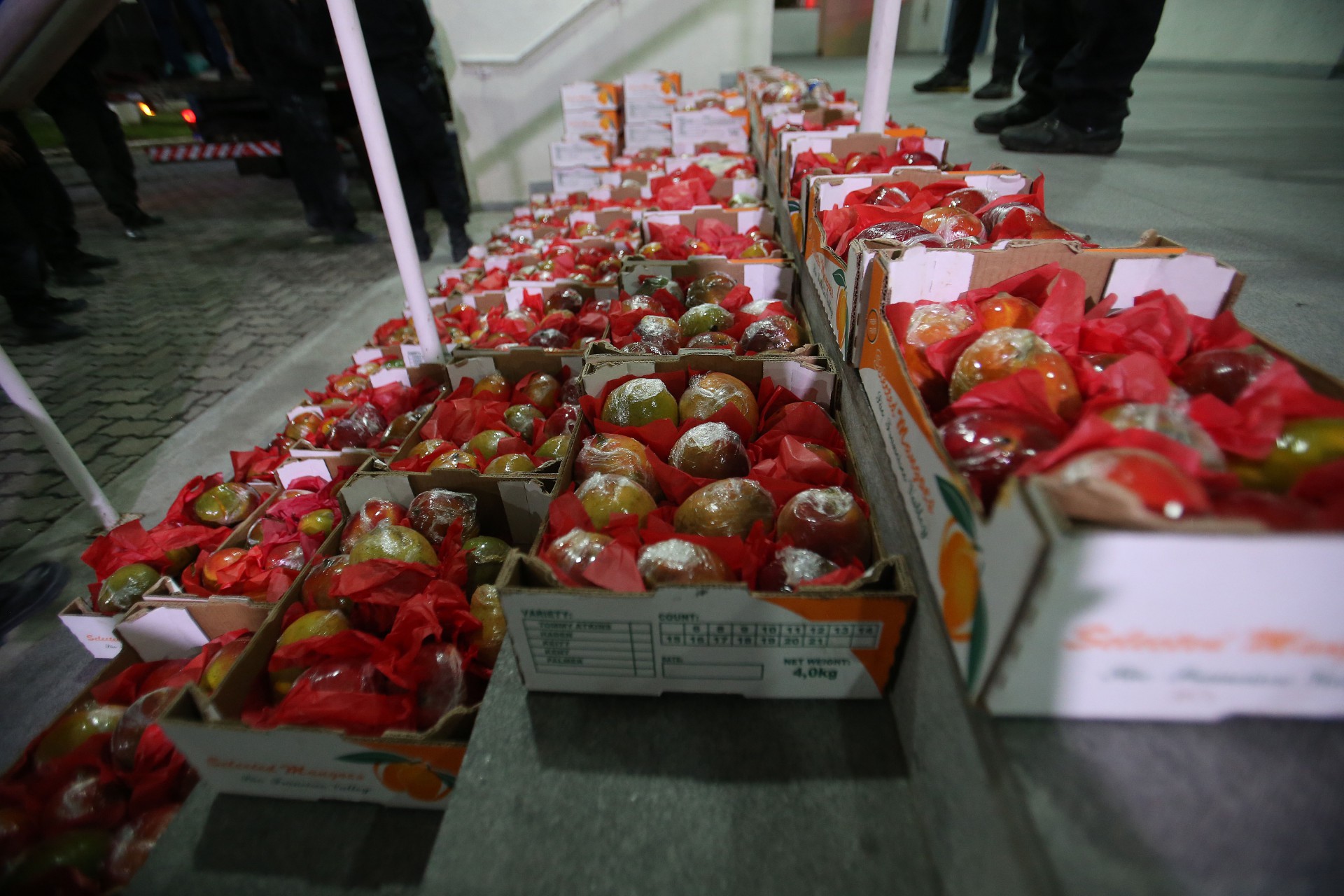 Criminosos escondiam drogas dentro de mangas para enviar &agrave; Europa - Cl&eacute;ber Mendes