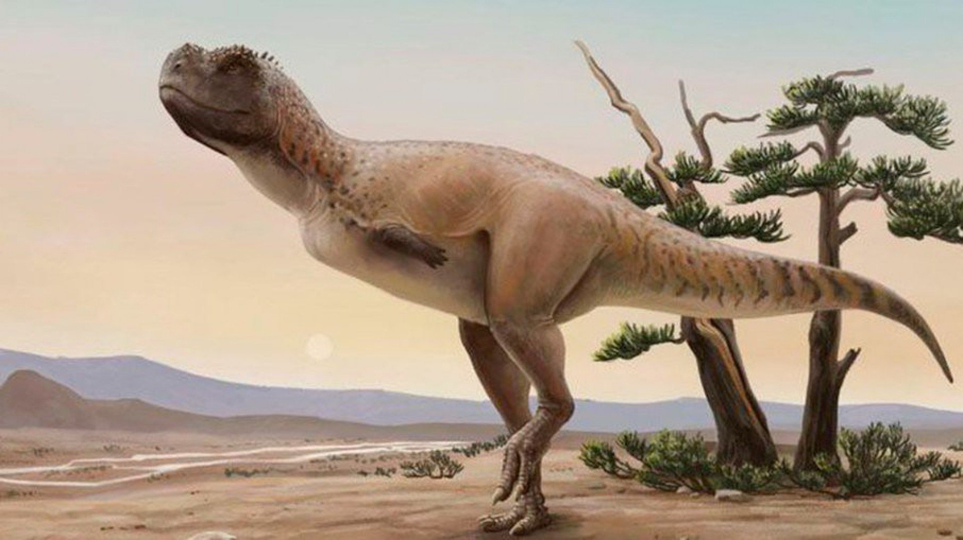 pesquisadores encontram fósseis de dinossauro carnívoro de cinco metros