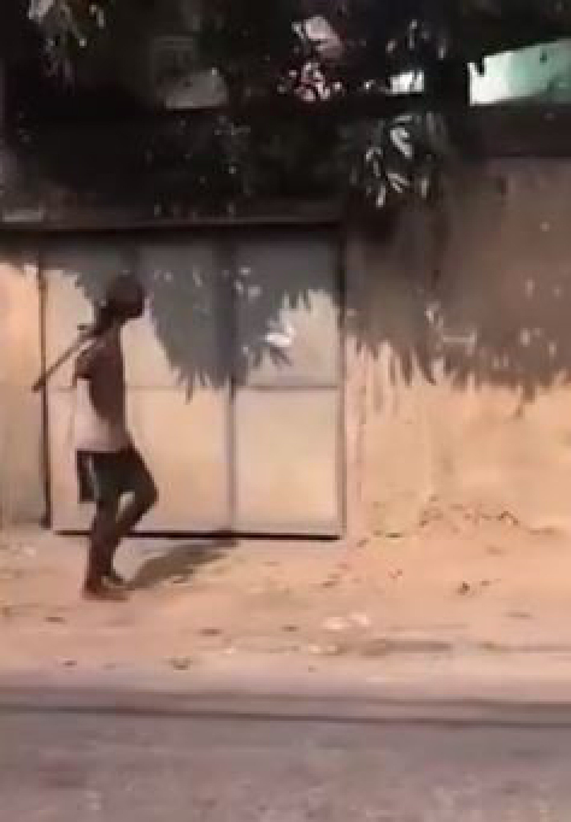 Moradores fizeram imagens do homem andando pelas ruas do bairro com um peda&ccedil;o de madeira na m&atilde;o - Reprodu&ccedil;&atilde;o