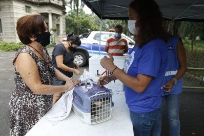Prefeitura do Rio realiza mutirão de vacinação de gatos no Campo de Santana
