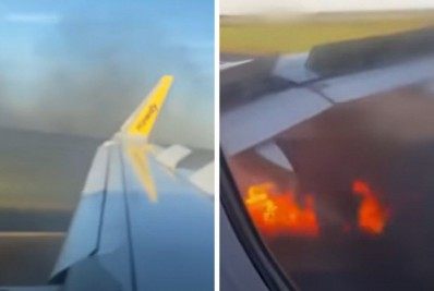 Motor de avião pega fogo após colidir com pássaro; Assista