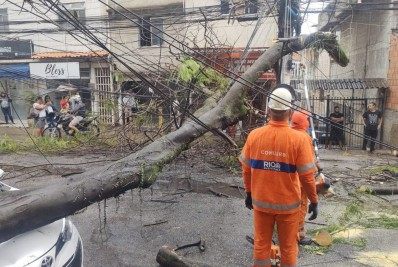 Queda de árvore interdita Estrada do Itanhangá nos dois sentidos