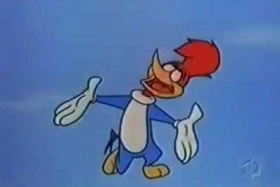 O fim do pica-pau! Pássaro que inspirou desenho animado será declarado extinto