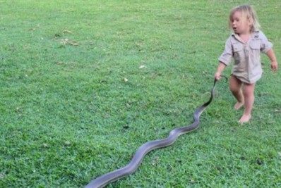 Vídeo: bebê é filmado arrastando cobra de três metros por quintal