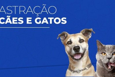 Casimiro de Abreu será atendido pelo Governo do Estado para castração de cães e gatos