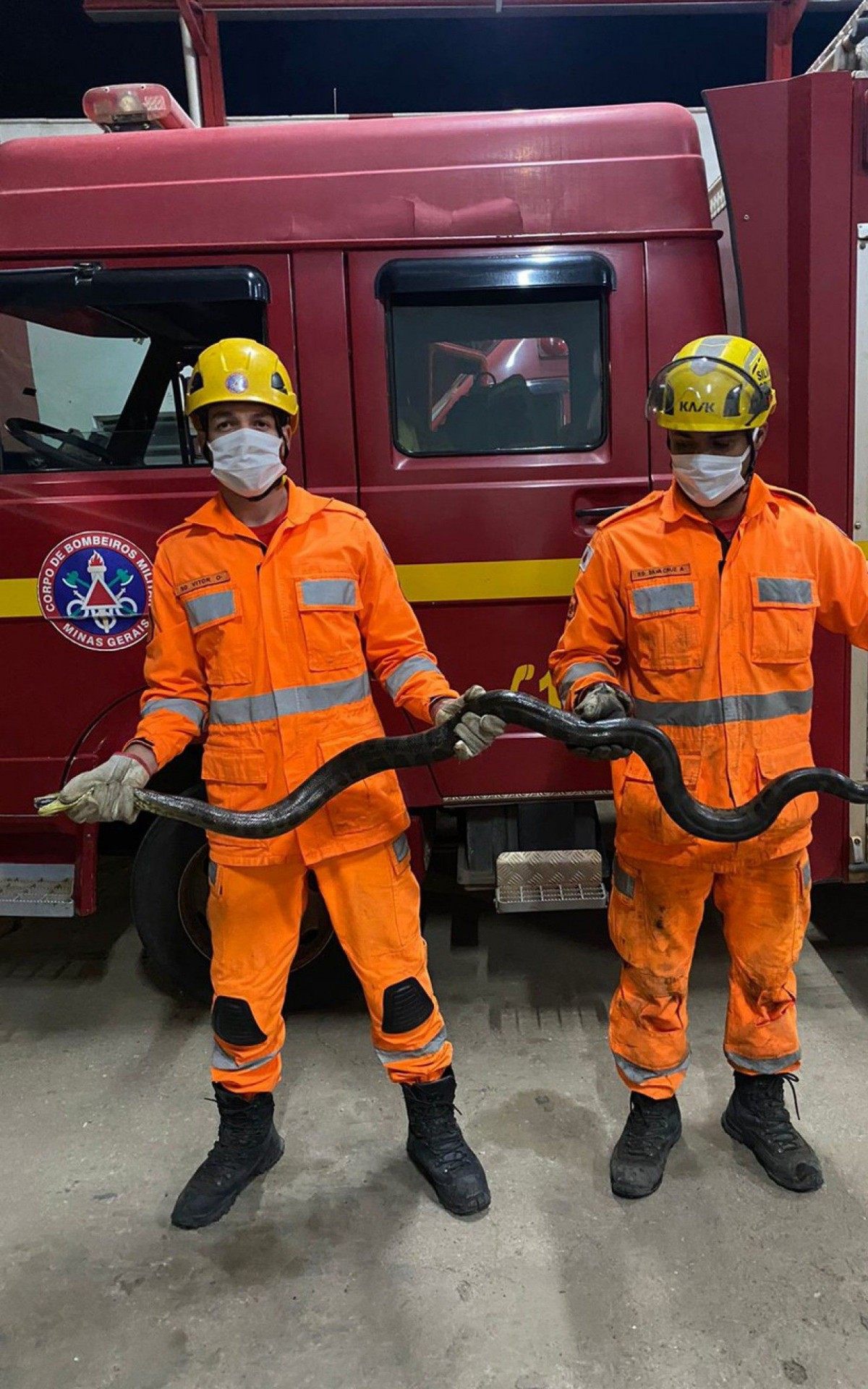Sucuri de 2 metros &eacute; encontrada debaixo do estepe por caminhoneiro