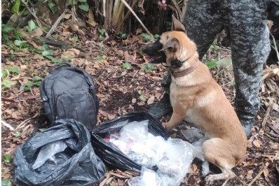 PM faz operação no Chapadão pelo segundo dia consecutivo