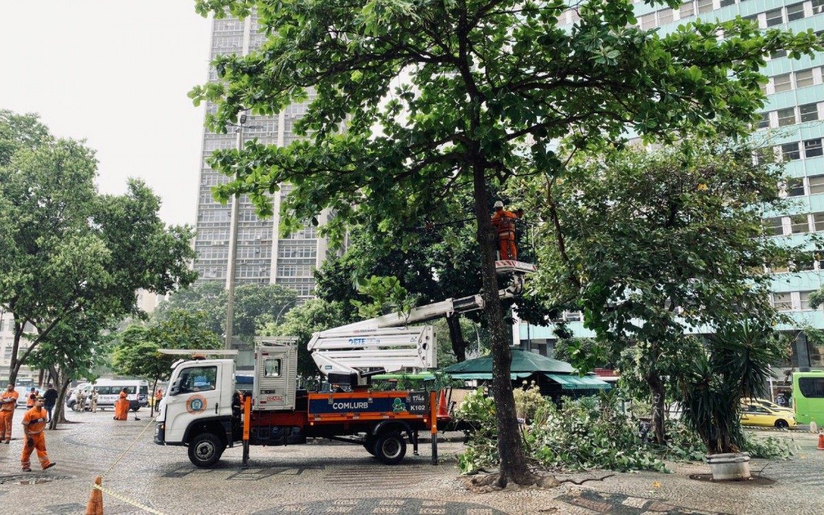 Largo da Carioca recebeu servi&ccedil;o de podas de &aacute;rvore 