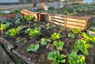 Parceria entre a Petrobras e Programa das Nações Unidas para o Desenvolvimento fortalece iniciativas para conter de desnutrição infantil em Campos