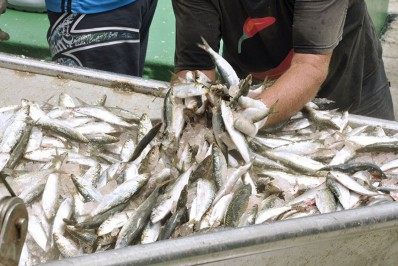 Sardinha somente em 2022