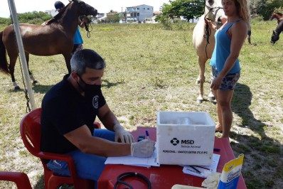 Mutirão de vacinação para equinos e muares acontecerá neste sábado na Madressilva